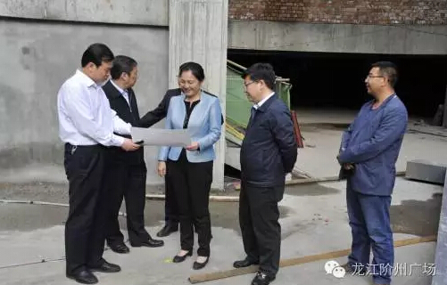 市長陳青，副市長王月成陪同省電力投資集團公司總經理李輝一行深入階州廣場視察